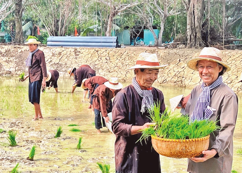 Mô hình cho mượn đất để trồng lúa của cựu chiến binh Trần Bá Sanh nhằm tạo kinh phí giúp các hội viên khó khăn.