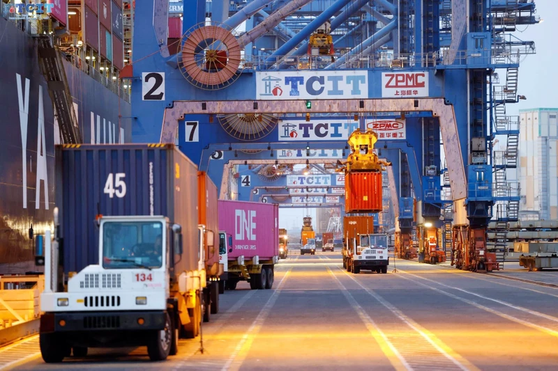 Xếp dỡ hàng hóa xuất nhập khẩu tại cảng TCIT.