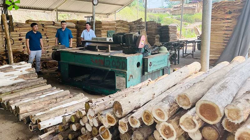 Một cơ sở chế biến gỗ tại xã Bảo Ái, huyện Yên Bình (Yên Bái) dừng hoạt động do không bán được nguyên liệu.