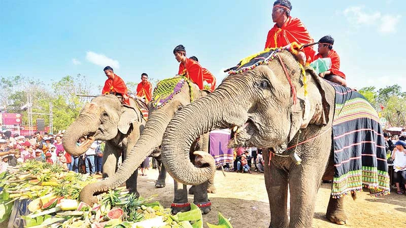 Du khách và người dân địa phương háo hức tận mắt chứng kiến đàn voi nhà thưởng thức tiệc buffet.