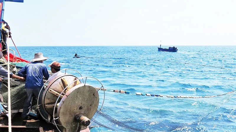Ngư dân Quảng Ngãi đánh bắt hải sản.