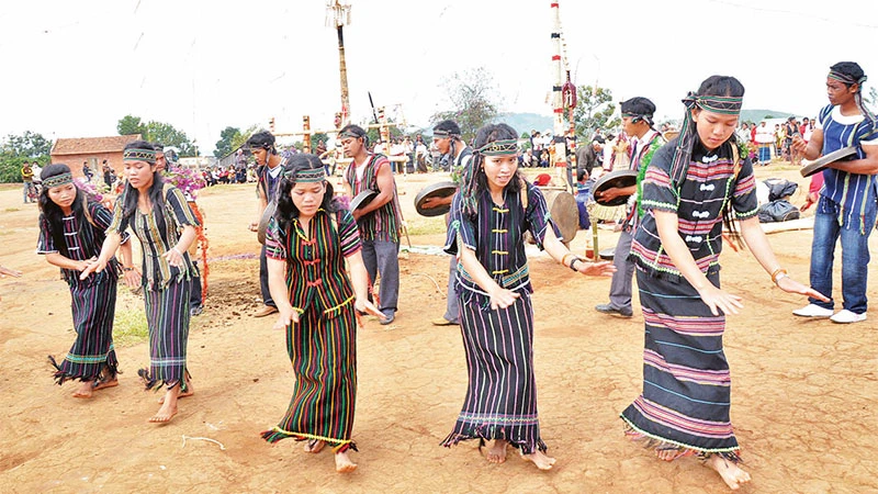 Dân làng người Cơ Ho Srê múa mừng nhô wèr bên chân ruộng.