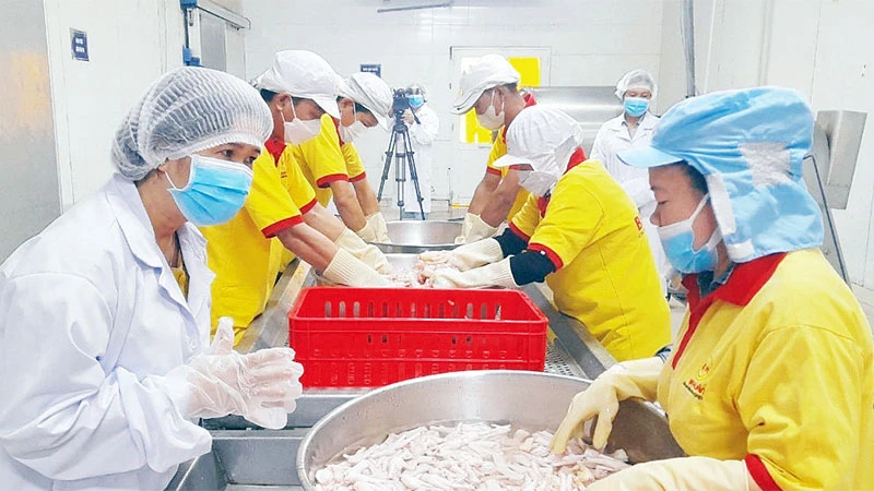 Đại diện Sở Công thương Long An kiểm tra việc sản xuất các sản phẩm từ thịt gà tại doanh nghiệp Ba Huân ở huyện Đức Hòa.