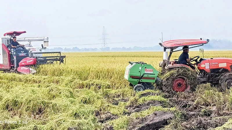 Chị Trần Thị Lanh ở xã Bình Minh (huyện Kiến Xương, tỉnh Thái Bình) thuê, mượn khoảng 100 ha ruộng, đầu tư nhiều máy móc hiện đại sản xuất nông nghiệp quy mô lớn.