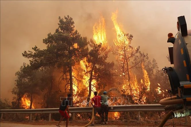 Các tình nguyện viên nỗ lực dập đám cháy rừng ở bán đảo Datca, Tây Nam Thổ Nhĩ Kỳ ngày 13/7/2022. (Ảnh: AFP/TTXVN)