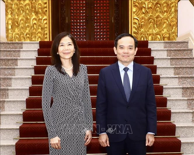 Phó Thủ tướng Trần Lưu Quang tiếp Điều phối viên thường trú Liên hợp quốc Pauline Tamesis. (Ảnh: TTXVN)