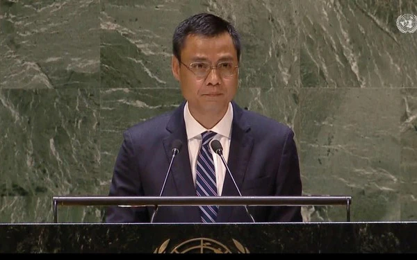 Đại sứ Đặng Hoàng Giang phát biểu tại Hội nghị. (Ảnh: TTXVN)