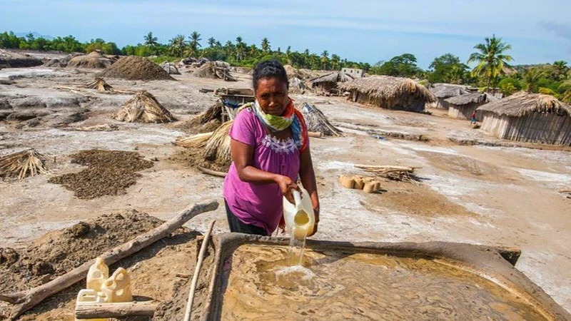 Người phụ nữ thu hoạch muối trong rừng ngập mặn ở Timor-Leste - một quốc đảo đang phát triển. (Ảnh: UNDP)