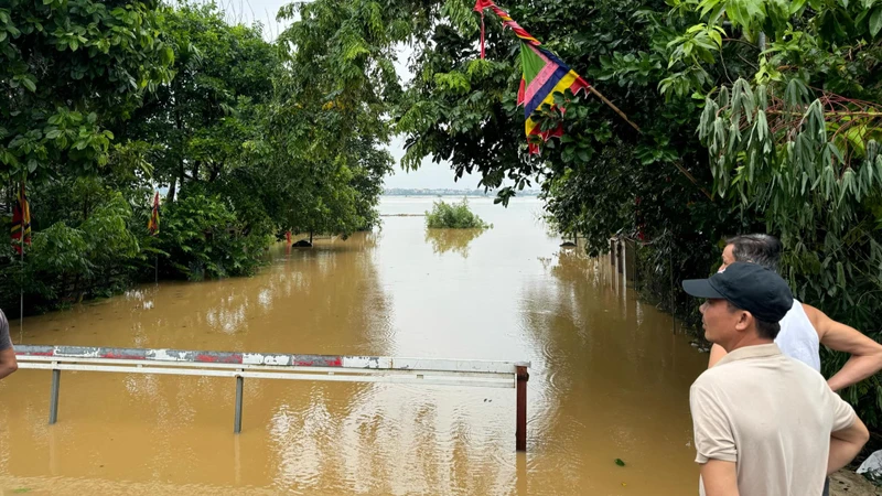 Đền thờ Bến Bạc (phường Phú Thượng, quận Tây Hồ, Hà Nội) chìm nghỉm dưới nước sông Hồng. 