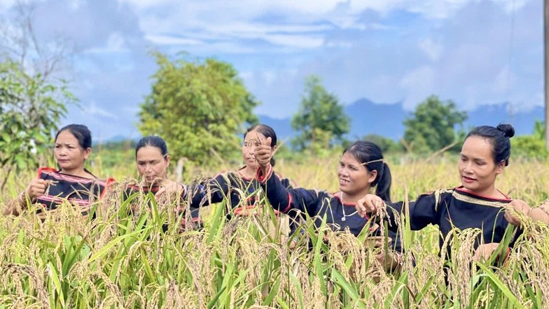 Ảnh minh họa. (Nguồn: Báo Đại đoàn kết)