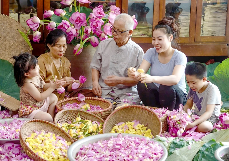 Các thành viên gia đình nghệ nhân Ngô Văn Xiêm (phường Quảng An, quận Tây Hồ) thực hiện công đoạn chuẩn bị ướp trà sen. (Ảnh: Nguyễn Hoa)