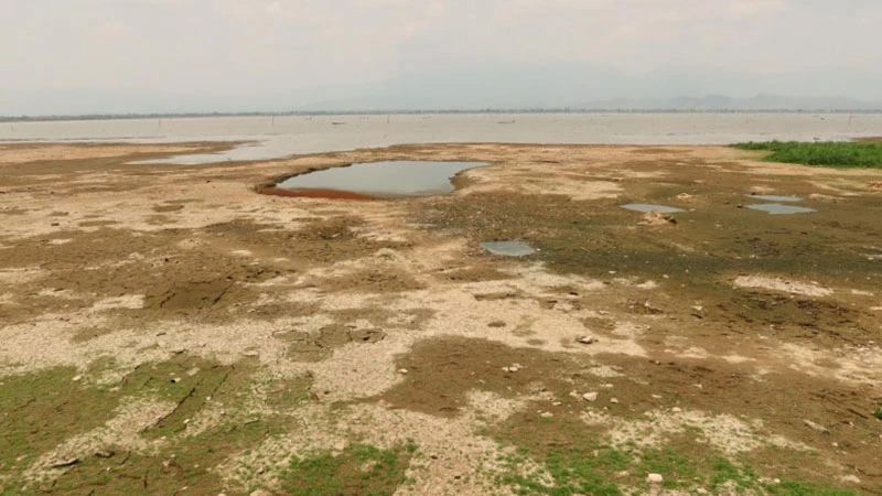 Hạn hán khiến hồ Kwan Phayao ở tỉnh Phayao, Thái Lan, cạn kiệt nước.