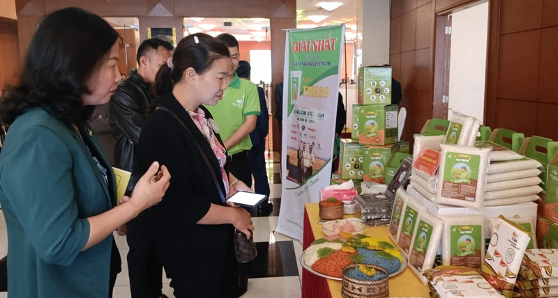 Lần đầu tiên, tỉnh Thái Bình tổ chức hội nghị chuyên đề về phát triển thị trường lúa gạo.