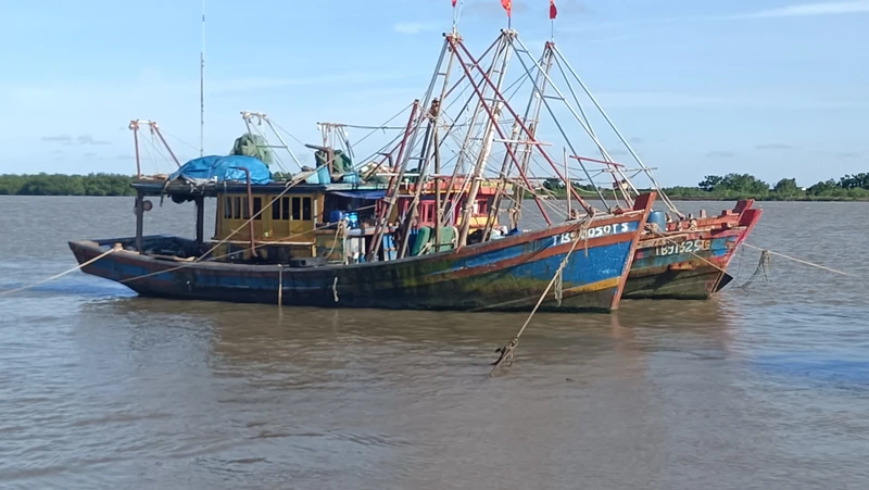 174 tàu, thuyền hoạt động nghề cá ở tỉnh Thái Bình đã được hỗ trợ kinh phí mua, lắp đặt thuê bao giám sát hành trình.