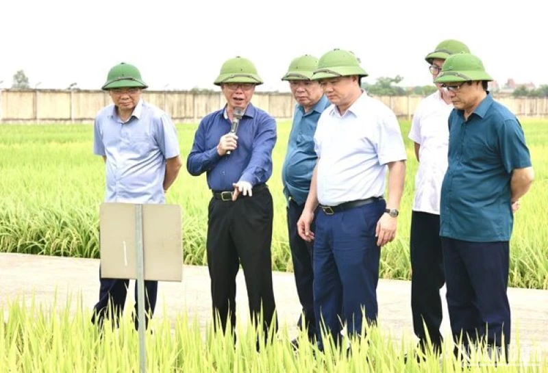 Lãnh đạo tỉnh Thái Bình thăm Viện nghiên cứu cây trồng của Tập đoàn ThaiBinh Seed. 
