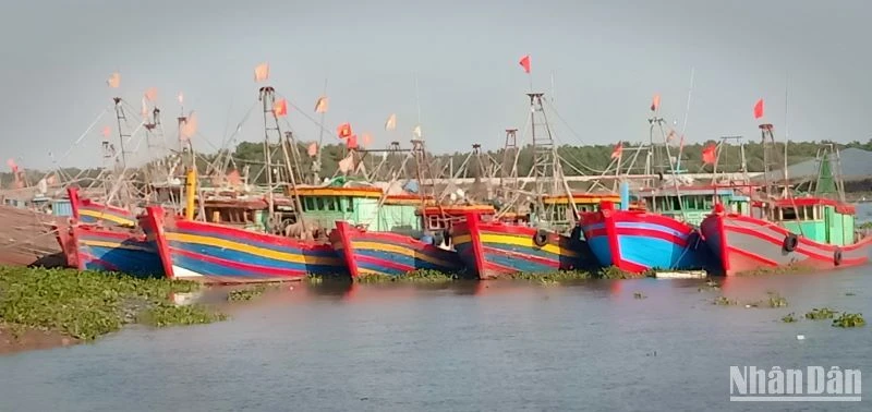 Tàu thuyền của ngư dân ven biển huyện Tiền Hải, tỉnh Thái Bình vào khu neo đậu, tránh bão số 1.