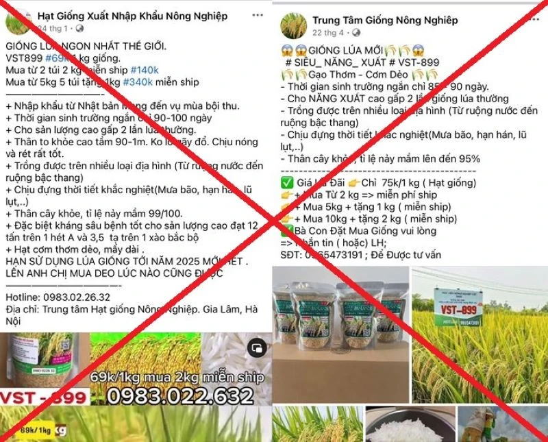 Các đối tượng rao bán lúa giống VST-899 trên các trang mạng xã hội. (Ảnh Công an cung cấp)