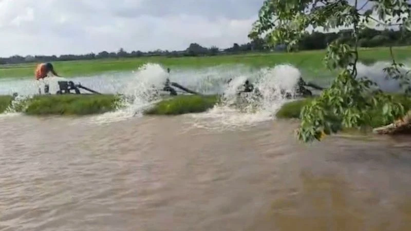 Tiêu úng cứu lúa ở xã Hiệp Hòa, huyện Vũ Thư, tỉnh Thái Bình. (Ảnh: Đài Phát thanh và Truyền hình huyện Vũ Thư cung cấp)