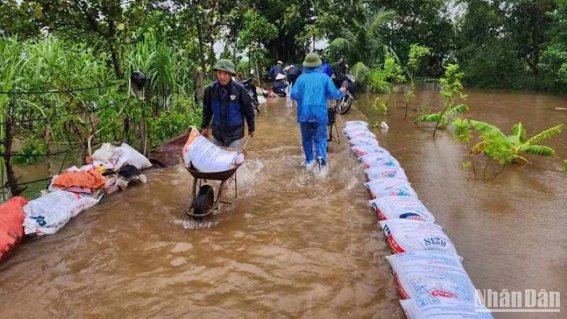 Huyện Vũ Thư (tỉnh Thái Bình) dồn sức chống úng ngập cho 75 ha lúa, hoa màu tại xã Xuân Hòa.