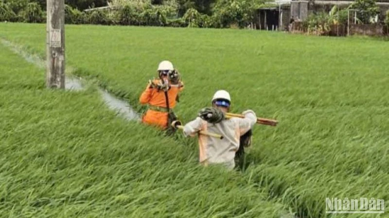 Công nhân ngành điện Thái Bình không quản mưa nắng, làm ngày làm đêm để cấp điện trở lại cho khách hàng.