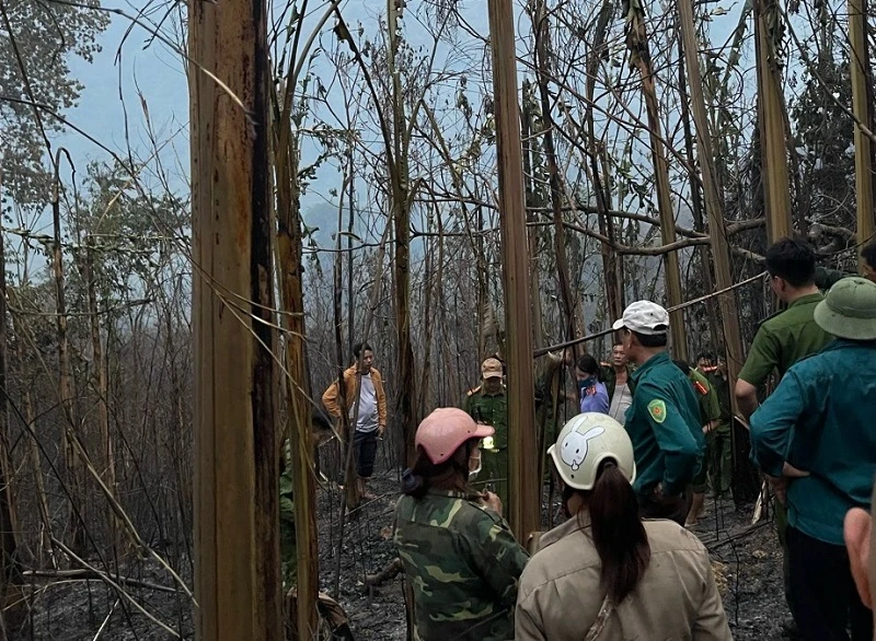 Hiện trường vụ cháy rừng tại thị trấn huyện Mường Chà, tỉnh Điện Biên.