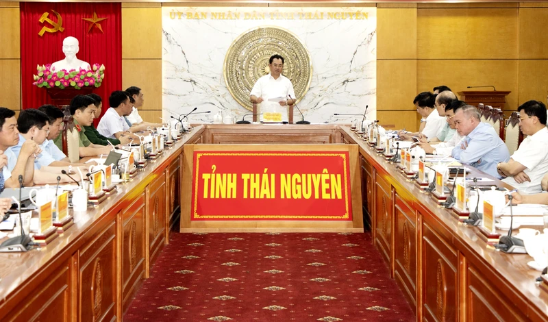 Lãnh đạo tỉnh, Ban Chỉ đạo của tỉnh đưa ra nhiều giải pháp xây dựng Định Hoá trở thành huyện nông thôn mới.