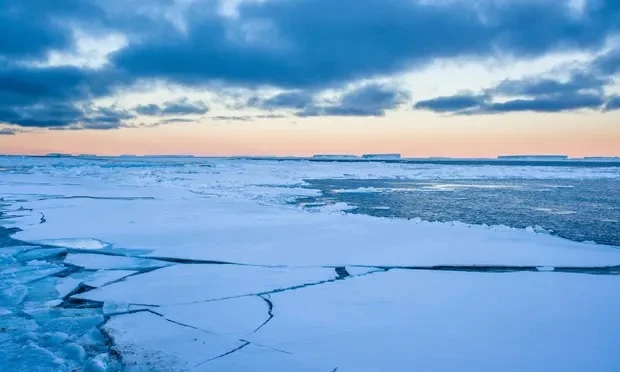 Băng biển bị vỡ và tan chảy ở biển Weddell, Nam Cực. Ảnh: Peace Portal/Alamy.