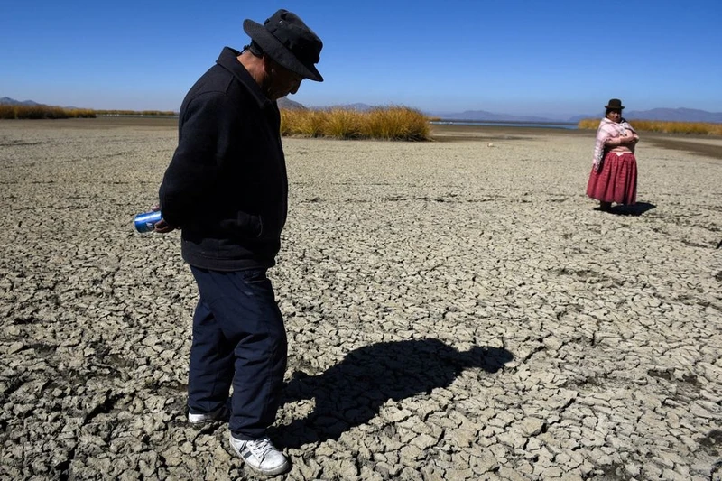 Mặt đất khô nứt gần bờ hồ Titicaca trong mùa hạn hán ở Huarina, Bolivia ngày 3/8. Ảnh: Reuters. 