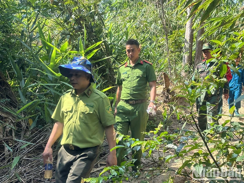 Các lực lượng chức năng huyện Ia H'Drai phối hợp tuần tra truy quét, bảo vệ rừng.