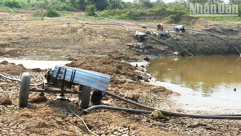 Hàng chục đầu máy bơm xếp hàng chờ nước tưới.