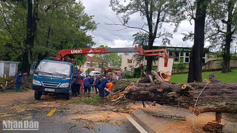 Lực lượng chức năng xử lý hiện trường cây xanh ngã đổ sau trận mưa lớn tại Đà Lạt chiều 23/6.