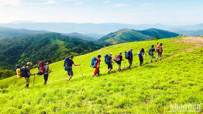 Du khách trải nghiệm cung trekking Tà Năng-Phan Dũng.