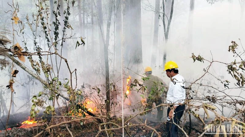 Lực lượng chức năng nỗ lực dập tắt đám cháy tại khoảnh 3, tiểu khu 266B, nằm trong khu du lịch quốc gia hồ Tuyền Lâm (thành phố Đà Lạt, Lâm Đồng), xảy ra ngày 25/2.