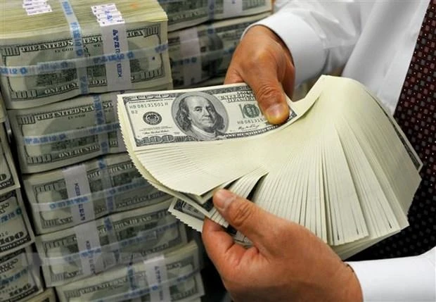 Nhân viên kiểm đồng USD tại ngân hàng. (Ảnh: AFP)
