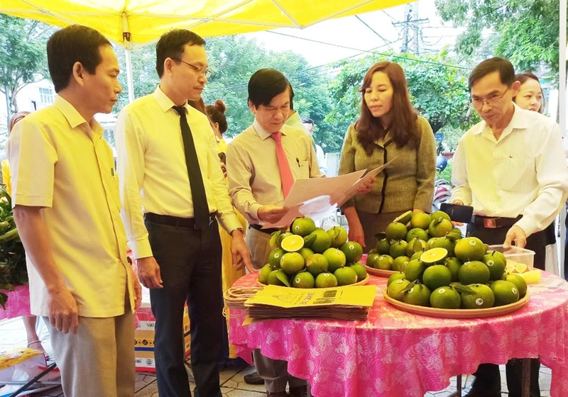 Lãnh đạo huyện Hải Lăng và Hội Nông dân tỉnh tham quan gian hàng cam hữu cơ của Công ty Bàu Giàng.