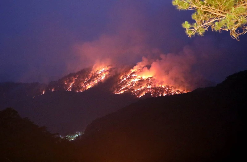 Hình ảnh vụ cháy rừng ghi nhận vào chiều tối 7/4.