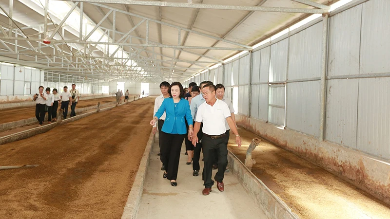 Xây dựng mô hình xử lý môi trường trong chăn nuôi bò sữa kết hợp mô hình du lịch sinh thái tại HTX Hiệp Thư-Phù Đổng Green Park, huyện Gia Lâm