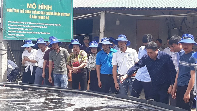 Giám đốc Trung tâm Khuyến nông quốc gia Lê Quốc Thanh thăm mô hình nuôi tôm tại Hà Tĩnh.