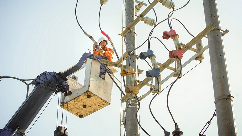 Công ty Điện lực Đà Nẵng tổ chức kiểm tra, sửa chữa lưới điện phục vụ cho các hoạt động lớn trong dịp lễ 2/9. 