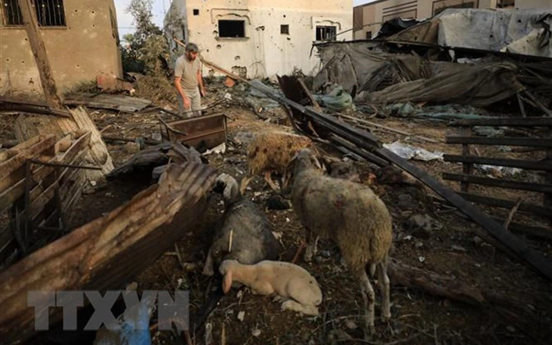 Những ngôi nhà bị phá hủy sau cuộc không kích của Israel xuống thành phố Khan Younis ở Dải Gaza, ngày 23/10/2023. (Ảnh: THX/TTXVN)