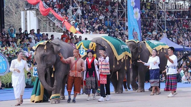 Lễ hội Voi tỉnh Xayaboury là một trong những lễ hội đặc sắc, thu hút đông đảo du khách đến Lào. (Ảnh: TRỊNH DŨNG)