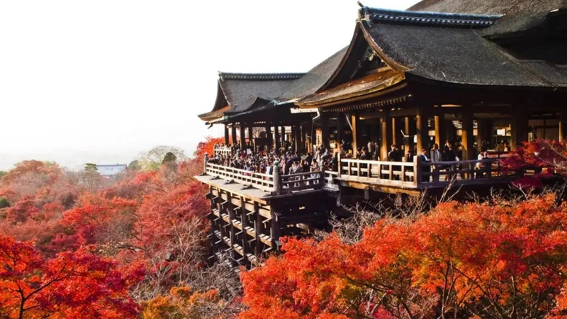 Mùa lá đỏ ở Kyoto. (Ảnh: Traveloka)