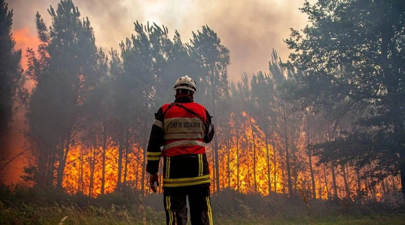 Cháy rừng đe dọa nhiều nước châu Âu. 