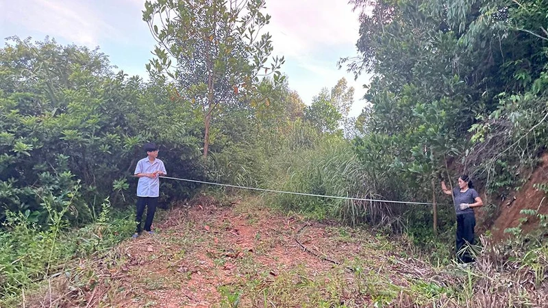 Một đoạn còn lại của tuyến đường cũ từ khu nhà ở của gia đình bà Nguyễn Thị Luận đến giáp ranh Dự án, rộng khoảng 5m.