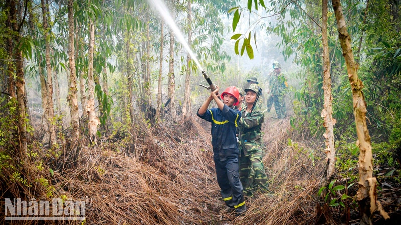 Lực lượng quân đội tham gia chữa cháy. 