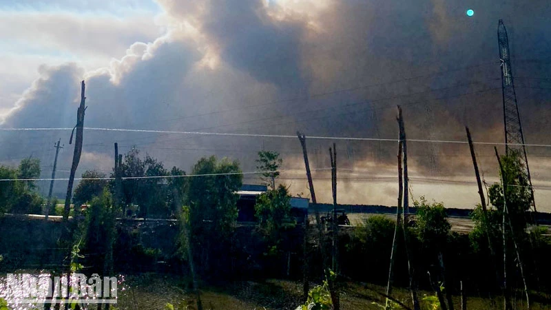 Khói bốc lên từ vụ cháy rừng tràm ở kênh T4, xã Vĩnh Phú, huyện Giang Thành, chiều 28/4. 