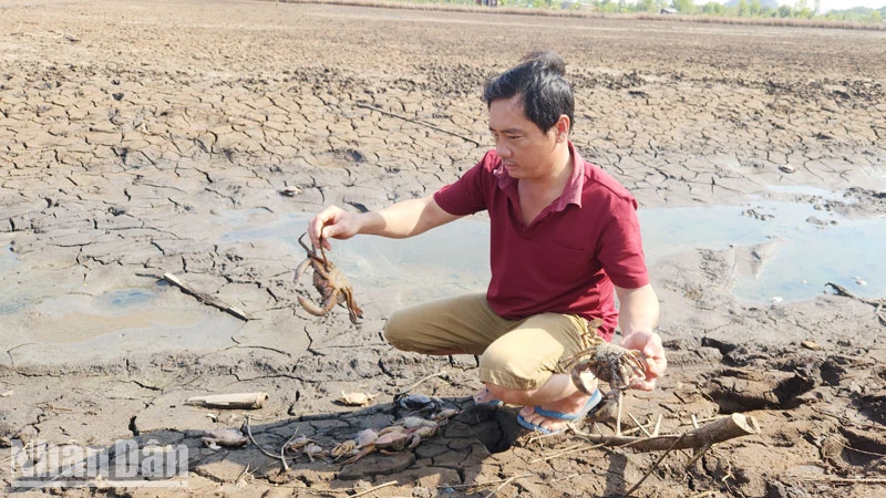 Do nguồn nước ô nhiễm, 12 ha nuôi tôm, cua, cá của ông Huỳnh Văn Kỷ chết hàng loạt, bị thiệt hại tổng cộng 380 triệu đồng. 