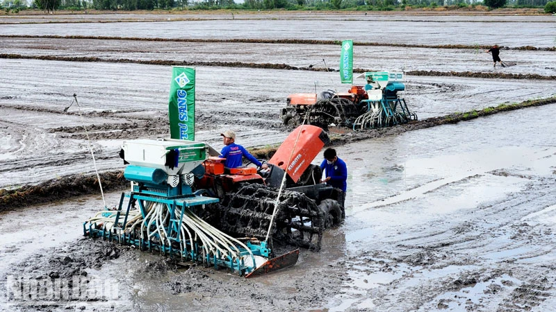 Mô hình thí điểm sản xuất lúa chất lượng cao, phát thải thấp chính thức khởi động ở Kiên Giang.