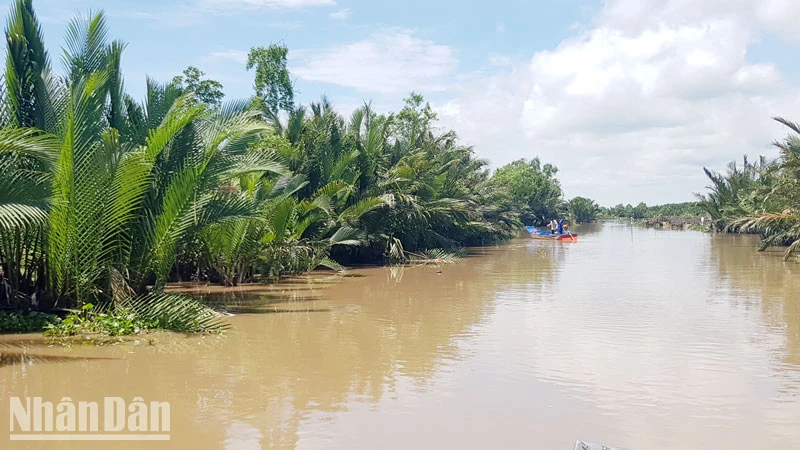 Một đoạn thuộc đầm Đông Hồ.