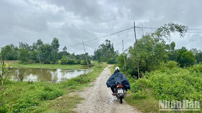 Lưới điện ở vùng nông thôn tỉnh Quảng Nam luôn tiềm ẩn những nguy cơ mất an toàn.